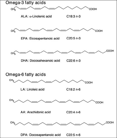 Structures of omega-6 and omega-3 fatty acids Omega-3 fatty acids... | Download Scientific Diagram