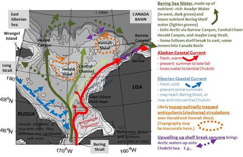 Circulation in the Chukchi Sea