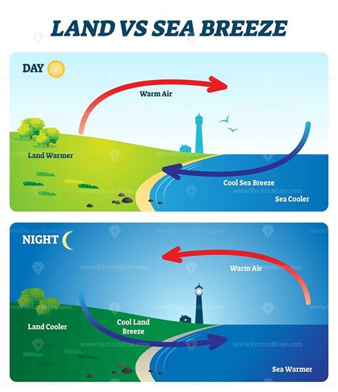 Land vs sea breeze vector illustration | Sea breeze, Life science, Breeze