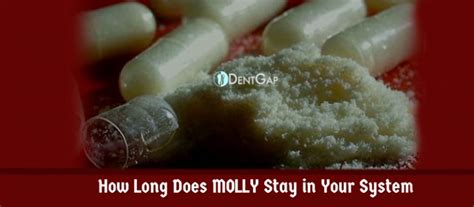 how-long-does-molly-last-in-your-system - Women Daily Magazine