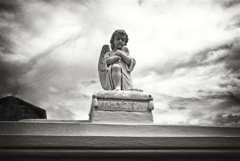 New Orleans Cemetery #17 – protozoid