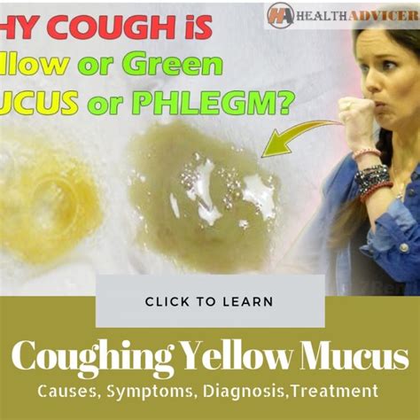 Coughing Up Green Mucus No Temperature at Irving Fields blog