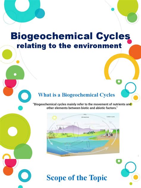 BIOCHEMICAL Cycle | PDF | Water Cycle | Water