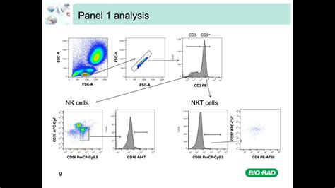 Multicolor Panel Building in Flow Cytometry - YouTube