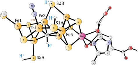 Figure 1 from A Mechanism for Nitrogenase Including Loss of a Sulfide ...