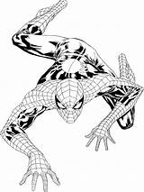 Free Printable Spiderman Coloring Pages For Kids sketch template