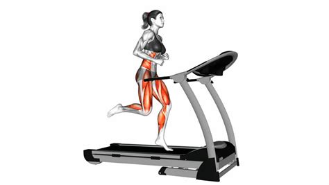 run on treadmill exercise anatomy fitness Stock Footage Video (100% ...