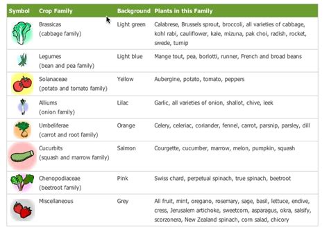 Crop Rotation for Growing Vegetables