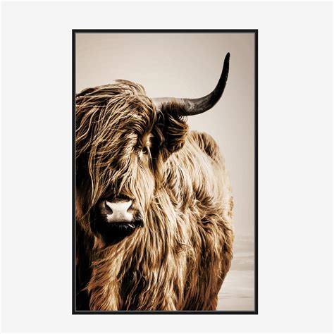 Highland Cattle Canvas - Mecasso Furniture Store