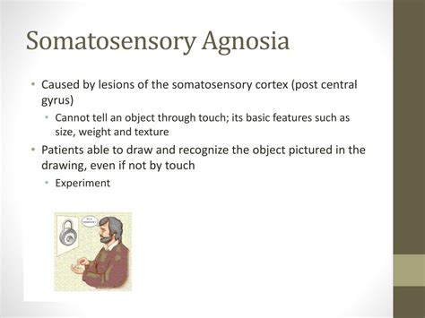 PPT - Agnosia PowerPoint Presentation, free download - ID:2678587