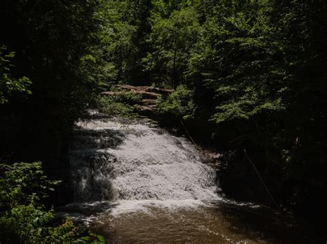 #TRAVEL: HIKING AND BANKHEAD NATIONAL FOREST - Alabama Chanin | Journal