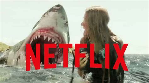 11 Shark Movies On Netflix (Our Picks) - BuddyTV