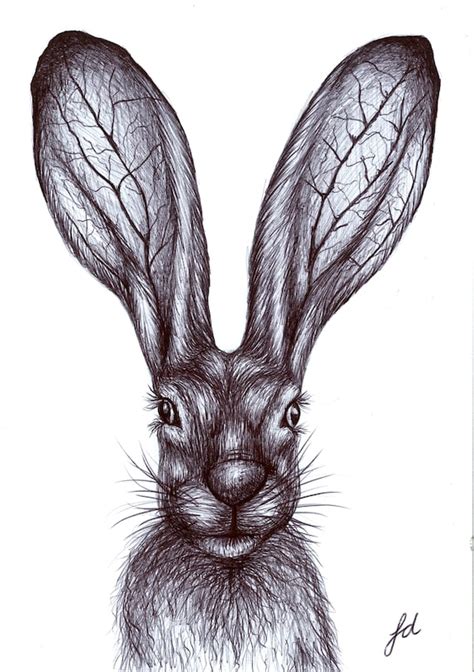 Biro drawing print Art Jack Rabbit Animal print A5 A4 | Etsy