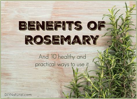 Benefits of Rosemary and 10 Healthy Ways to Use It