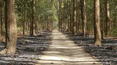 Ramnagar - Corbett National Park | Ramnagar Photos, Sightseeing ...