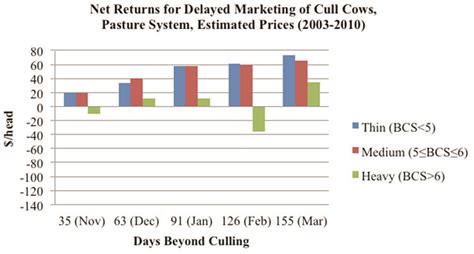 Marketing Cull Beef Cows: Does Body Condition Score Matter? | Oklahoma ...