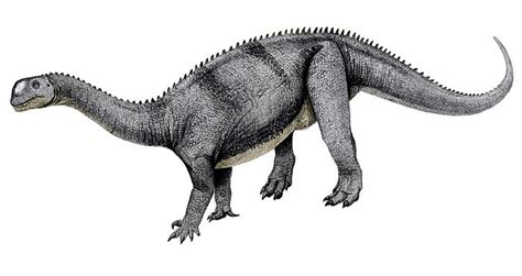 Vulcanodon Pictures & Facts - The Dinosaur Database