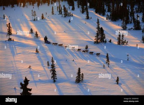 Kaltag alaska hi-res stock photography and images - Alamy