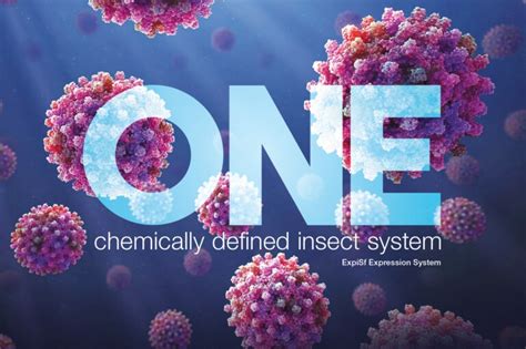 Is An Insect Expression System the Right Choice For Your Protein? - Behind the Bench