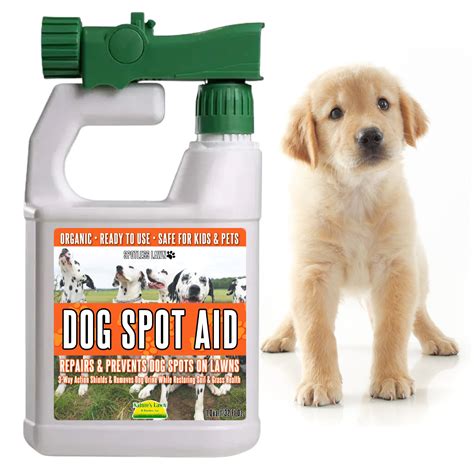 Urine Scald Dog Treatment Lowest Price | clc.cet.edu