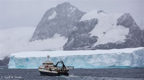 Association of Responsible Krill harvesting companies