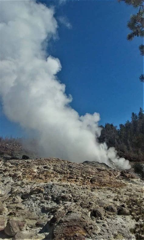 Yellowstone Wins - FoxRVTravel