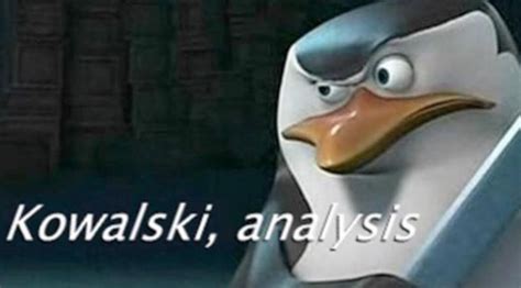 The Best "Kowalski, Analysis" Memes | Know Your Meme