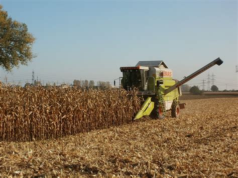 Types of Farming in Africa? - Africa Farming