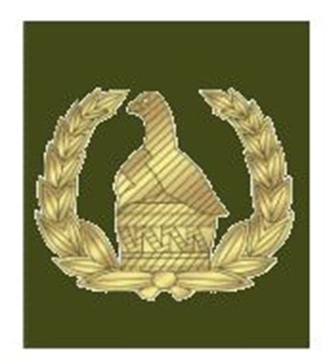 Zimbabwe Army ranks land ground forces combat field uniforms military equipment grades uniformes ...