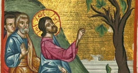 Parable Of The Barren Fig Tree - Catholics Striving For Holiness