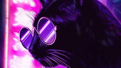 1600x900 Cat Glasses Neon Purple Nights 4k Wallpaper,1600x900 Resolution HD 4k Wallpapers,Images ...