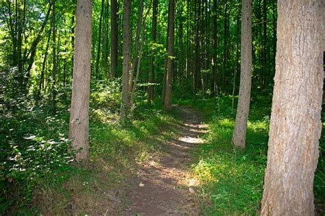 5 Best Parks in South Brunswick NJ: Jamesburg Park & Reichler Park