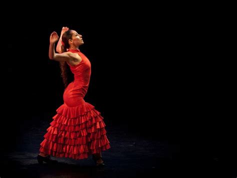 Flamenco Wallpapers - Top Free Flamenco Backgrounds - WallpaperAccess