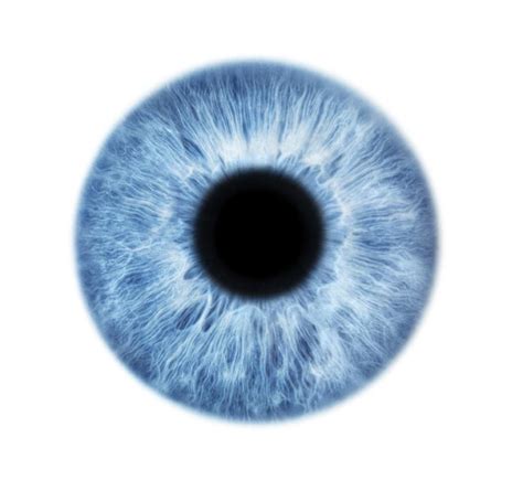 Blue eye Photograph by Science Photo Library | Pixels