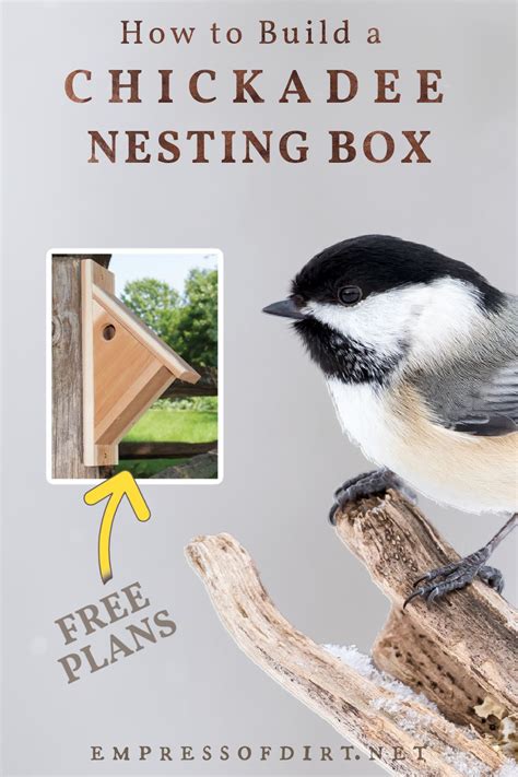 Make a Chickadee Nesting Box (Free Plans) — Empress of Dirt | Bird house plans, Bird house plans ...