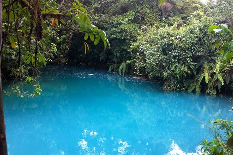 Rio Celeste Waterfall & Tenorio National Park - 3 Monkies Tours