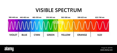 Visible light spectrum. Optical light wavelength. Electromagnetic ...