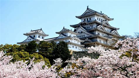 Download Man Made Himeji Castle HD Wallpaper