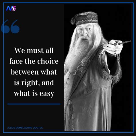 22 Best Albus Dumbledore Quotes From Harry Potter Movies - Moodswag