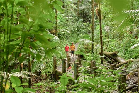 The Most Challenging Hikes in Puerto Rico | Discover Puerto Rico