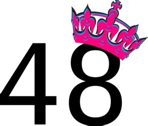 Pink Tilted Tiara And Number 48 Clip Art at Clker.com - vector clip art ...