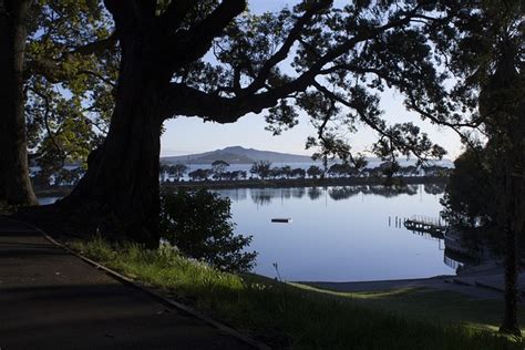 Trees Park Estuary - Free photo on Pixabay