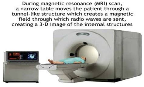 Pet Scan Vs Ct Scan Vs Mri Mcat | YOUR PET