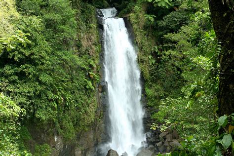 Trafalgar Falls: How to Explore the Waterfalls of Dominica | Current by ...