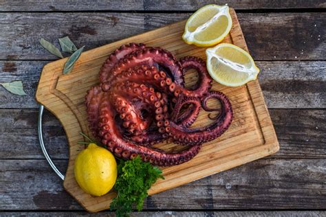 ¿Cuáles son los beneficios del pulpo cocido?, por 3 de Pulpo - RA PRESS