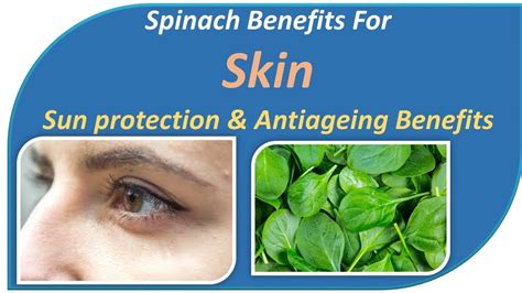 Spinach Benefits For Skin | Sun protection & Antiageing Benefits - YouTube