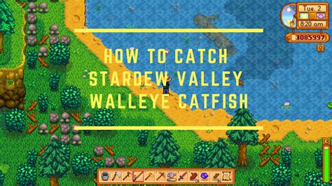 Complete Stardew Valley Catfish Location Guide - eXputer.com