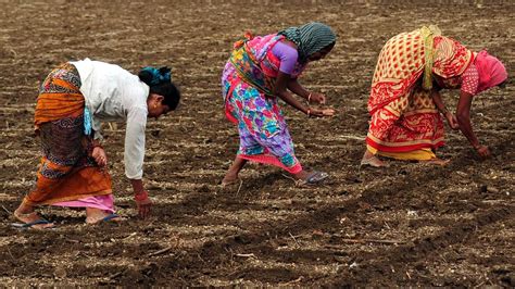 Rural India can’t be dustbin of history. Three farm laws have shown ...