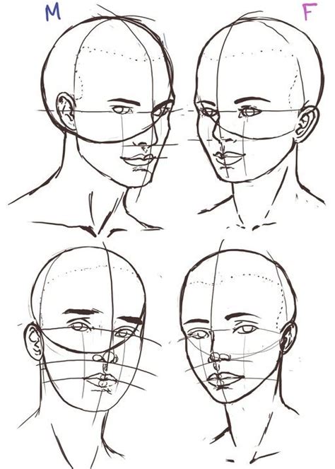 Images Of Face Drawing Reference