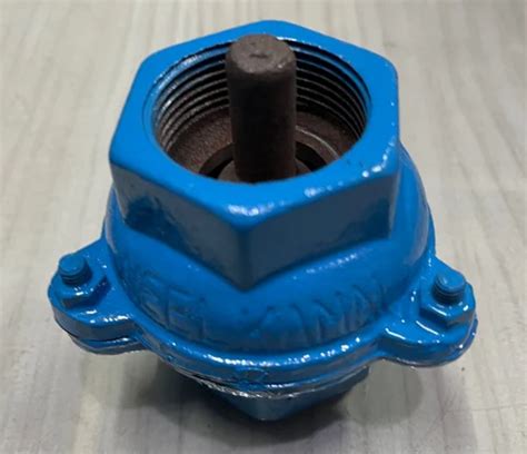 Neel Kamal Cast Iron Check Valve 32 mm, Valve Size: 2 inch at Rs 130 in ...